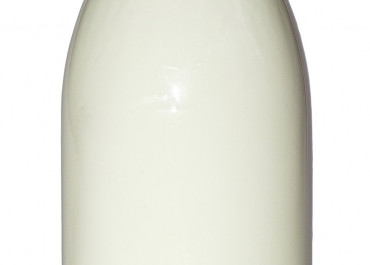 categories_6533935-milk-bottle-2740848_1280.jpg
